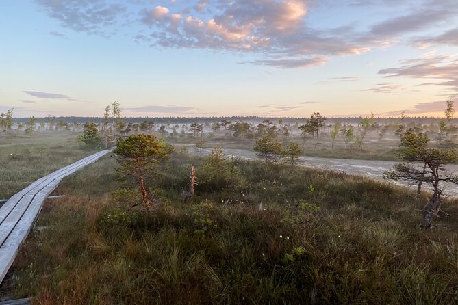 From Riga: Kemeri Bog Boardwalk and Jurmala Seaside - Group size, timing, and how to make the day feel smooth