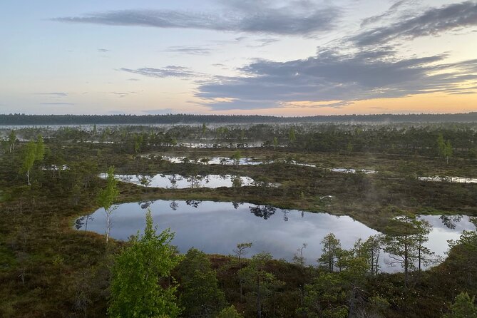 From Riga: Kemeri Bog Boardwalk and Jurmala Seaside - Who this tour suits best (and who should think twice)