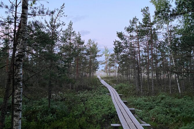 From Riga: Kemeri Bog Boardwalk and Jurmala Seaside - Ķemeri Historical Park: spa-town remnants with real atmosphere