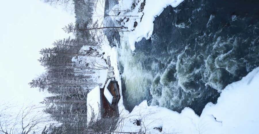 From Ruka: Snowshoeing in Oulanka National Park - Key highlights to look for