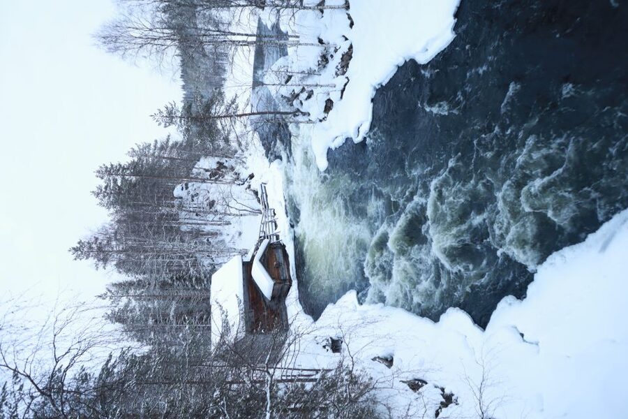 From Ruka: Snowshoeing in Oulanka National Park - First taste of Oulanka: snowshoes, timing, and a small-group pace