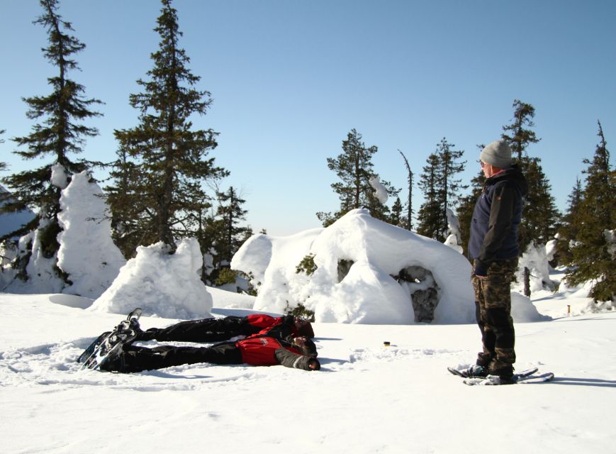 From Ruka: Snowshoeing in Riisitunturi National park - Key highlights at a glance