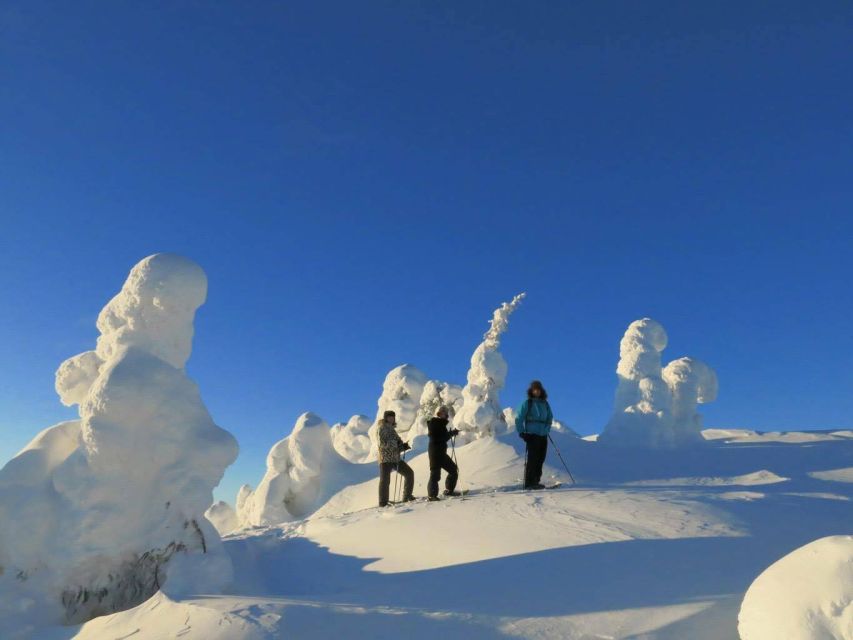 From Ruka: Snowshoeing in Riisitunturi National park - Why Riisitunturi’s snowshoe trails feel worth the drive