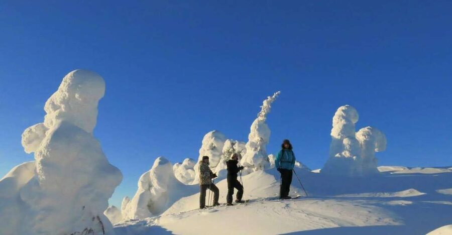 From Ruka: Snowshoeing in Riisitunturi National park - The hike itself: snow forest, a climb, and Kitkajärvi’s winter presence