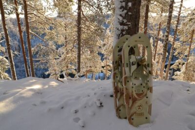 From Ruka: Snowshoeing in Riisitunturi National park - From Ruka to the park: how the morning sets you up