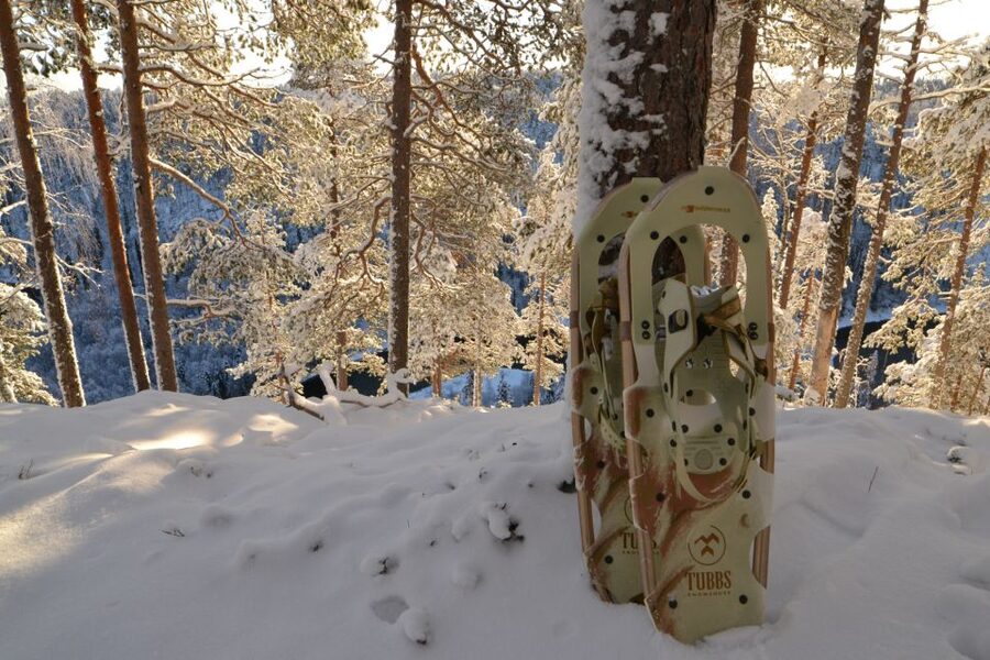From Ruka: Snowshoeing in Riisitunturi National park - From Ruka to the park: how the morning sets you up