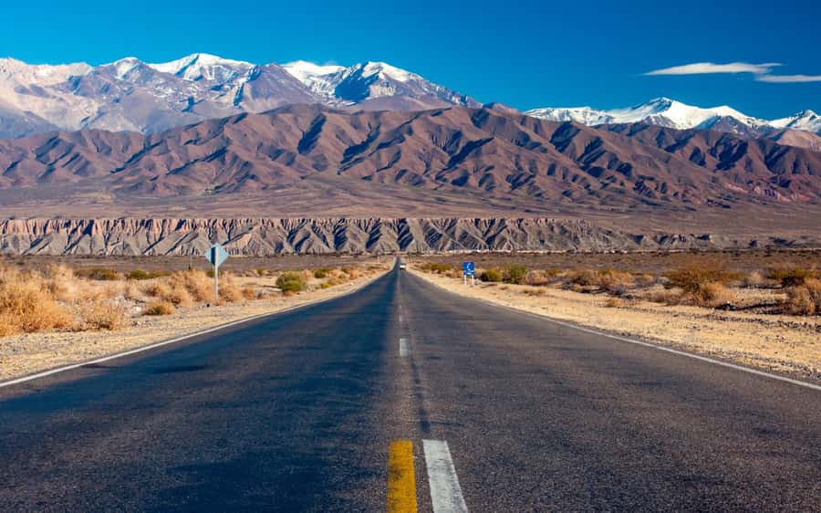 From Salta: Cachi and Los Cardones National Park Tour - Why this Salta day trip works: Cachi + Los Cardones in one pass