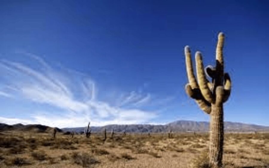 From Salta: Cachi and Los Cardones National Park Tour - Windmill Stone at 3,300+ meters: a stop that changes your perspective