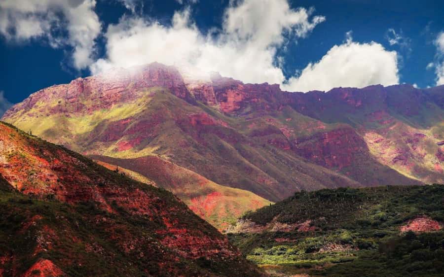 From Salta: Cachi and Los Cardones National Park Tour - Los Cardones National Park: thousands of cacti and animal sightings