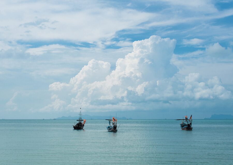 From Samui: Angthong National Park Snorkeling & Kayaking - What makes the $59 value work (and where it doesn’t)