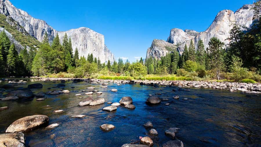 From San Francisco: Yosemite National Park Guided Day Trip - The Big Trade-Off: Convenience vs. Time in Yosemite