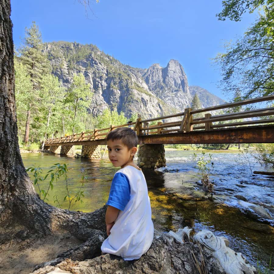 From San Francisco: Yosemite National Park Guided Day Trip - Road Trip Primer: Gold Country to Glacier Carving