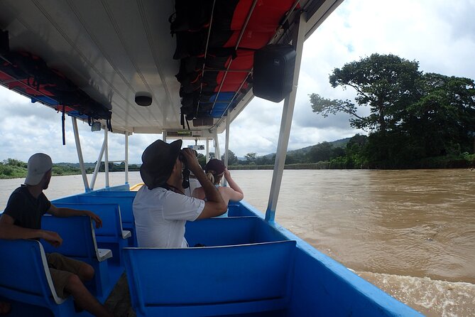 From San José: Carara National Park and Tárcoles River Tour - Carara National Park trails: forest height, figs, and birds up top