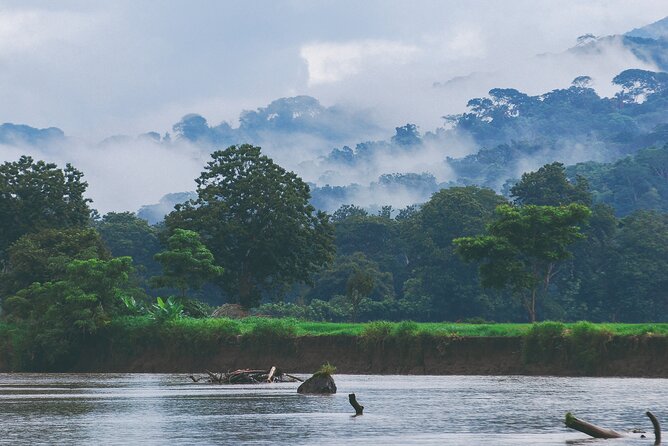 From San José: Carara National Park and Tárcoles River Tour - Guides and small-group touring: the difference between seeing and understanding