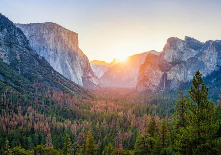 From San Jose:Enchanted Full Day Yosemite National Park Tour - The van highlights: Half Dome, El Capitan, and Tunnel View