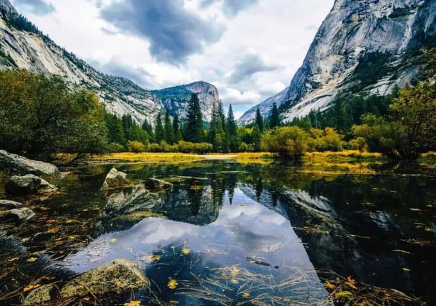From San Jose:Enchanted Full Day Yosemite National Park Tour - Free time for hiking or biking: making your own Yosemite hour(s)