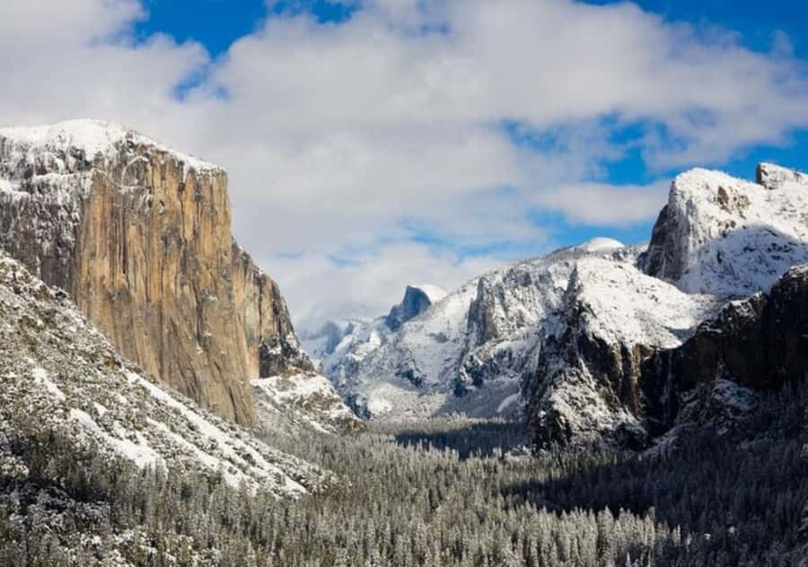From San Jose:Enchanted Full Day Yosemite National Park Tour - Small group, English guide: why the guide style changes everything