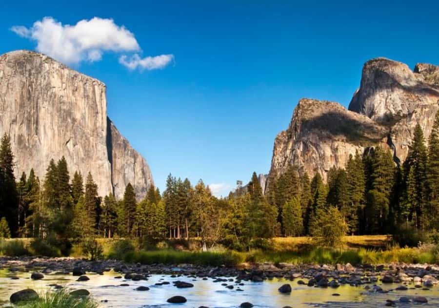 From San Jose:Enchanted Full Day Yosemite National Park Tour - The 810-minute reality: timing, comfort, and expectations