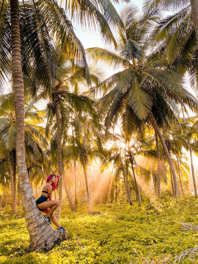 From Santa Marta: Tayrona National Park Guided Tour - Key things worth knowing before you go