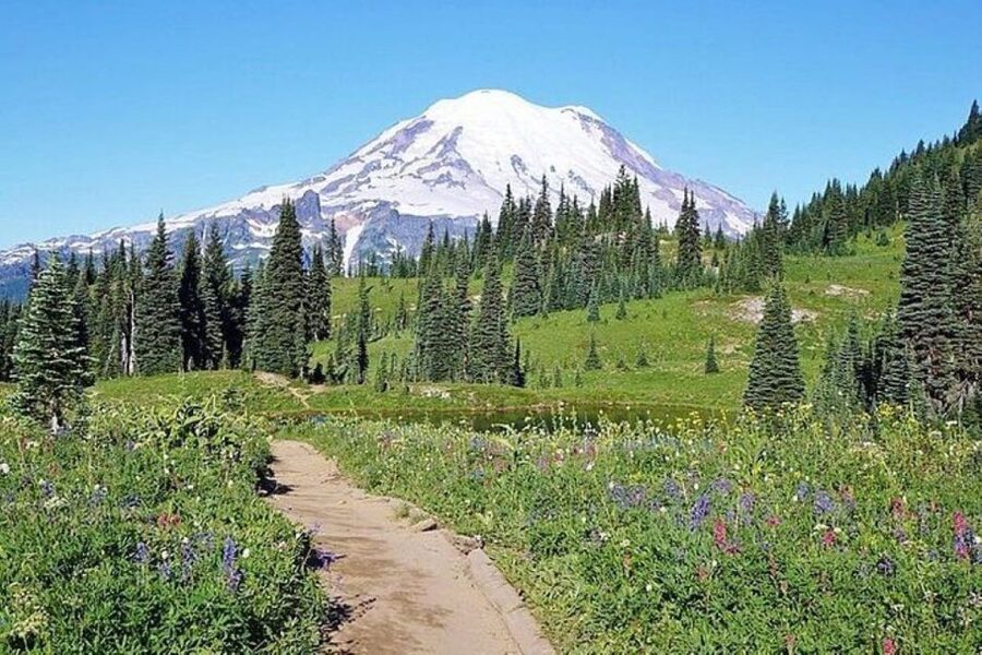 From Seattle: Full-Day Mt Rainier National Park Tour - Light Breakfast Stop En Route: A Small Start That Saves Time