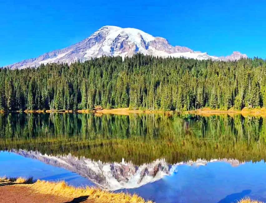 From Seattle: Mount Rainier National Park 1-Day Tour - Summer (May–Oct) vs Winter (Nov–Apr): How your day changes