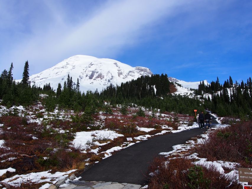 From Seattle: Mount Rainier National Park Guided Tour - Key Highlights at a Glance