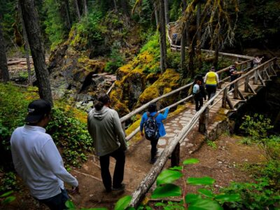 From Seattle: Mount Rainier National Park Guided Tour - Transportation that turns a long day into an easy one
