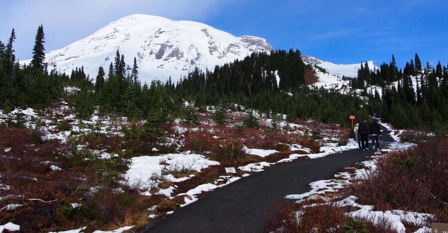 From Seattle: Mount Rainier National Park Guided Tour - Price and Value: Is $173 Worth It?