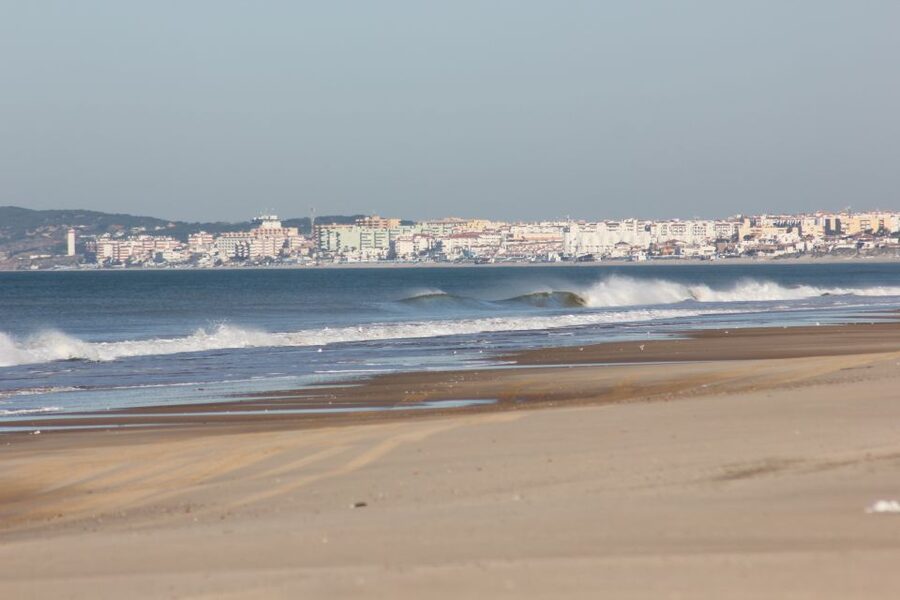From Seville: Doñana National Park Full-Day Private Tour - Key highlights worth your attention