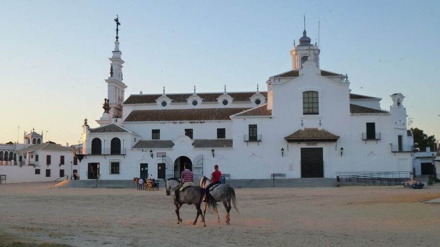 From Seville: Doñana National Park Full-Day Private Tour - Should you book this Doñana private tour?