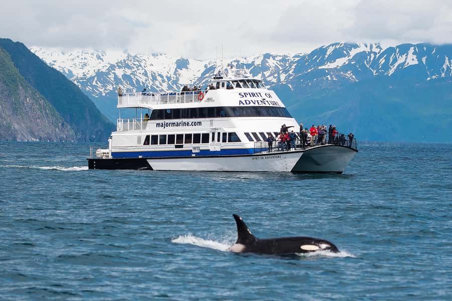 From Seward: Kenai Fjords National Park Cruise with Lunch - Key Things I’d Make Time For