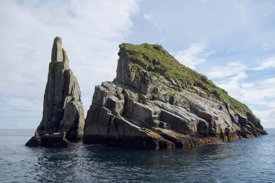 From Seward: Kenai Fjords National Park Cruise with Lunch - Kenai Fjords in 7.5 hours: what this cruise really delivers