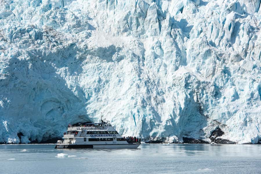From Seward: Kenai Fjords National Park Cruise with Lunch - The catamaran ride: stability, comfort, and viewing angles