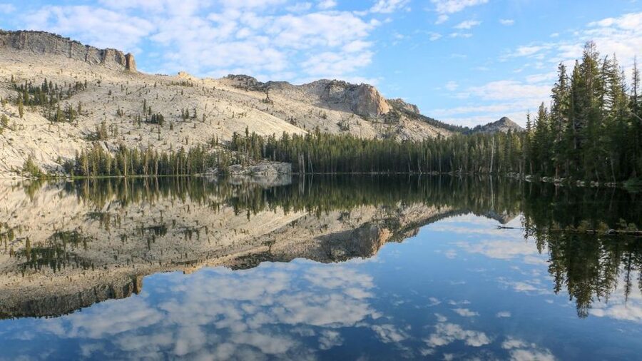 From SFO-Yosemite National Park-Enchanting Full Day Tour - Why this Yosemite day trip from San Francisco actually feels doable