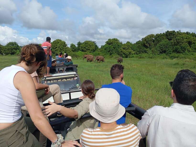 From Sigiriya: Hurulu Eco Park Elephant Jeep Safari - The driver-guide role: navigation, calm energy, and respect