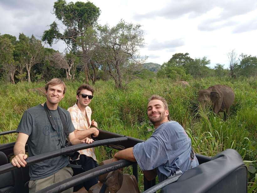 From Sigiriya: Minneriya National Park Half-Day Jeep Safari - Wildlife You’ll Actually Want to Spend Time Looking For