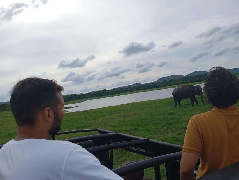 From Sigiriya: Minneriya National Park Half-Day Jeep Safari - Timing Tips: Dry Season, Reservoir Logic, and Practical Expectations