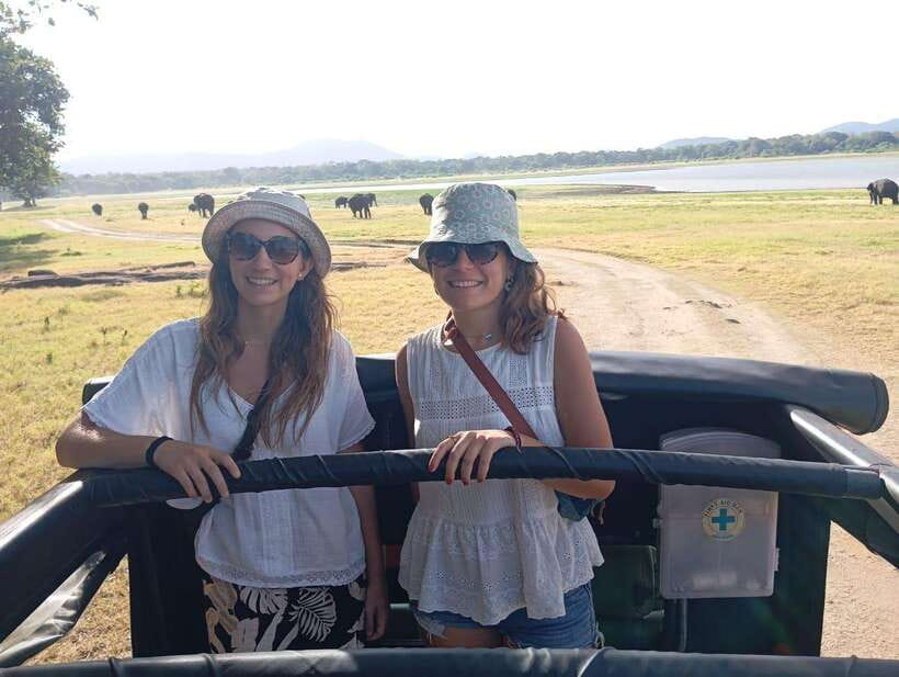 From Sigiriya: Minneriya National Park Half-Day Jeep Safari - Jeep Safari Flow: Pickup, 4x4 Ride, and Time in the Park
