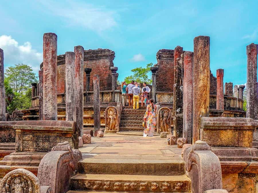 From Sigiriya: Minneriya National Park Half Day Safari - Why Minneriya pairs perfectly with Sigiriya plans