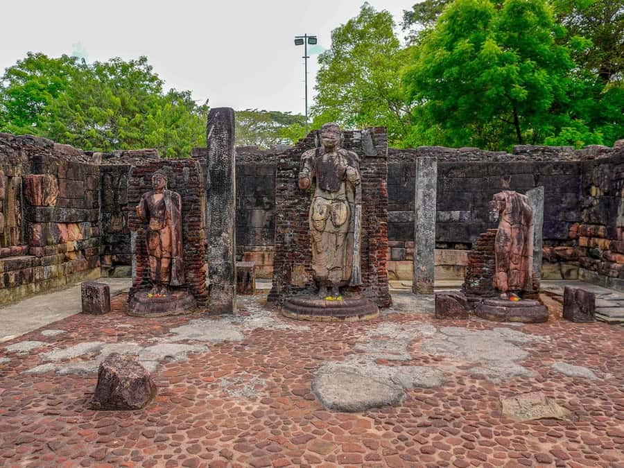 From Sigiriya: Minneriya National Park Half Day Safari - The guide and driving style: where good safaris separate