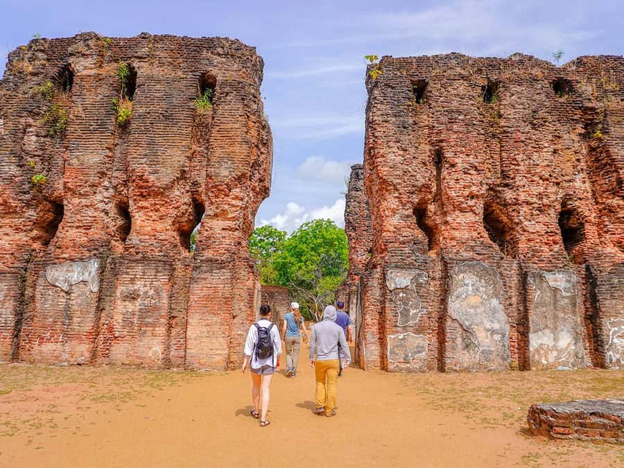 From Sigiriya: Minneriya National Park Half Day Safari - The best mindset for elephant sightings (even when it’s busy)