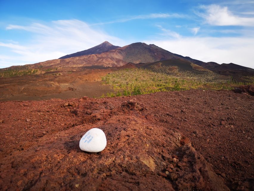 From South Tenerife: Teide National Park Tour - Short Walk Opportunity Inside Teide National Park