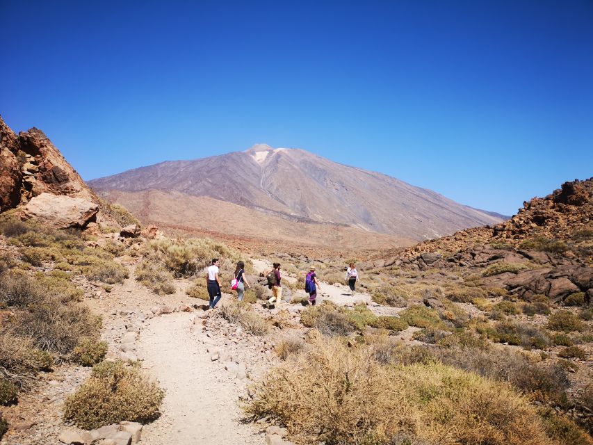 From South Tenerife: Teide National Park Tour - Pine Forest Stop and El Pino Gordo: A Quick Photo Moment With Real Character