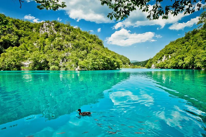 From Split: Plitvice Lakes National Park Guided Tour - Electric train inside Plitvice: saving energy for the views