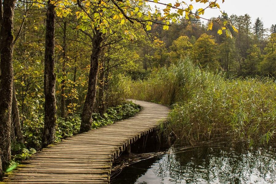 From Split: Private Tour to Plitvice Lakes National Park - How the Route Works: Bus Out, Walk Through, Train and Boat Breaks
