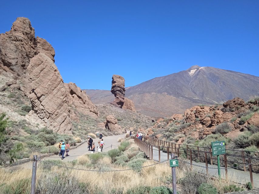 From Tenerife: Teide National Park Guided Day Trip by Bus - The Drive From South Tenerife: why the bus time matters