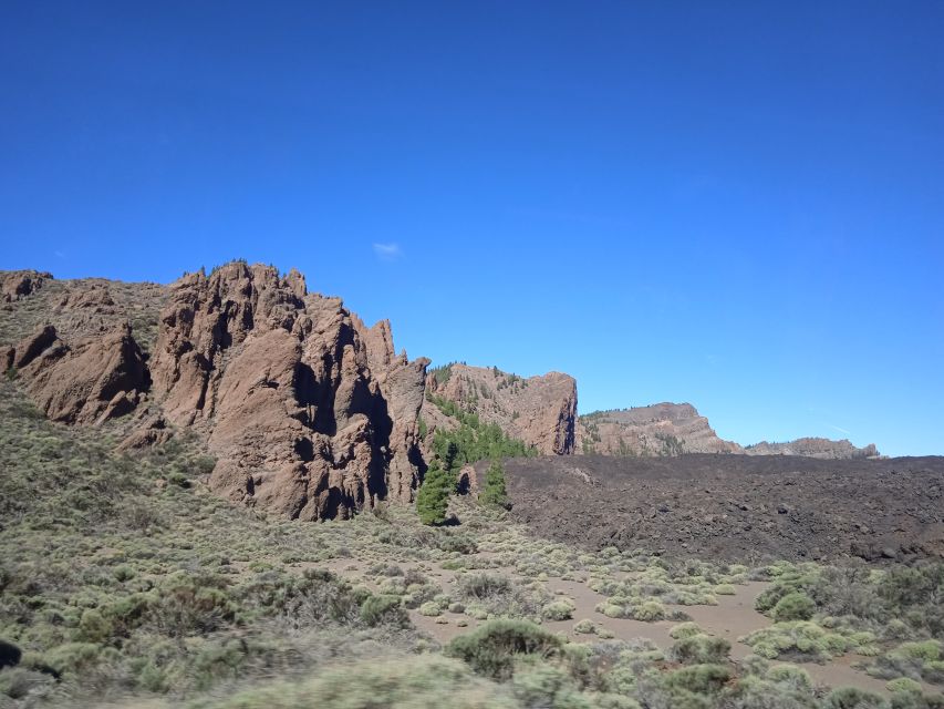 From Tenerife: Teide National Park Guided Day Trip by Bus - Above-the-cloud views: where altitude changes what you see