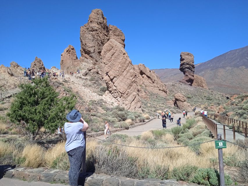 From Tenerife: Teide National Park Guided Day Trip by Bus - Price and value: is $39 worth it for Teide and Pico Viejo?