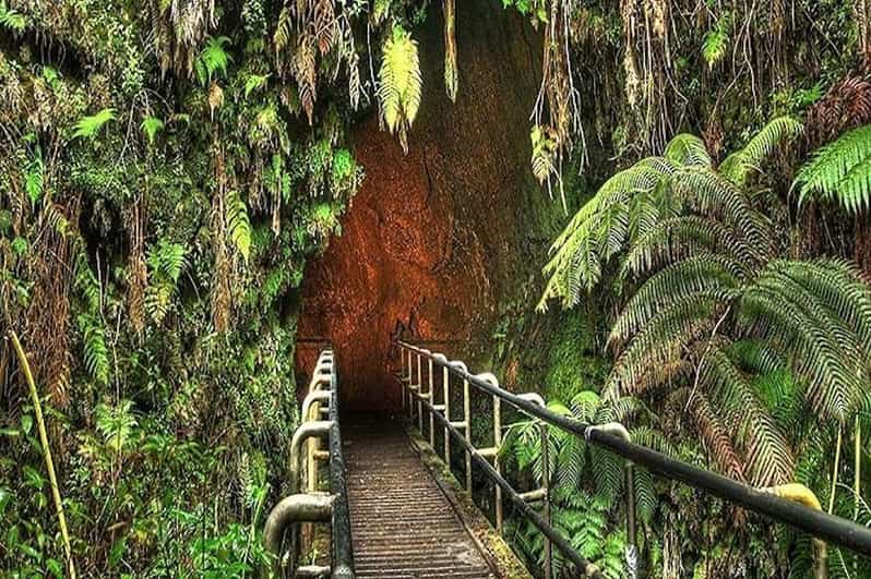 From the Big Island: Hawaii Volcanoes National Park Tour - Thurston lava tube: the star stop for real-world geology
