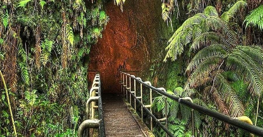 From the Big Island: Hawaii Volcanoes National Park Tour - Price and value: what $205 buys you on the Big Island